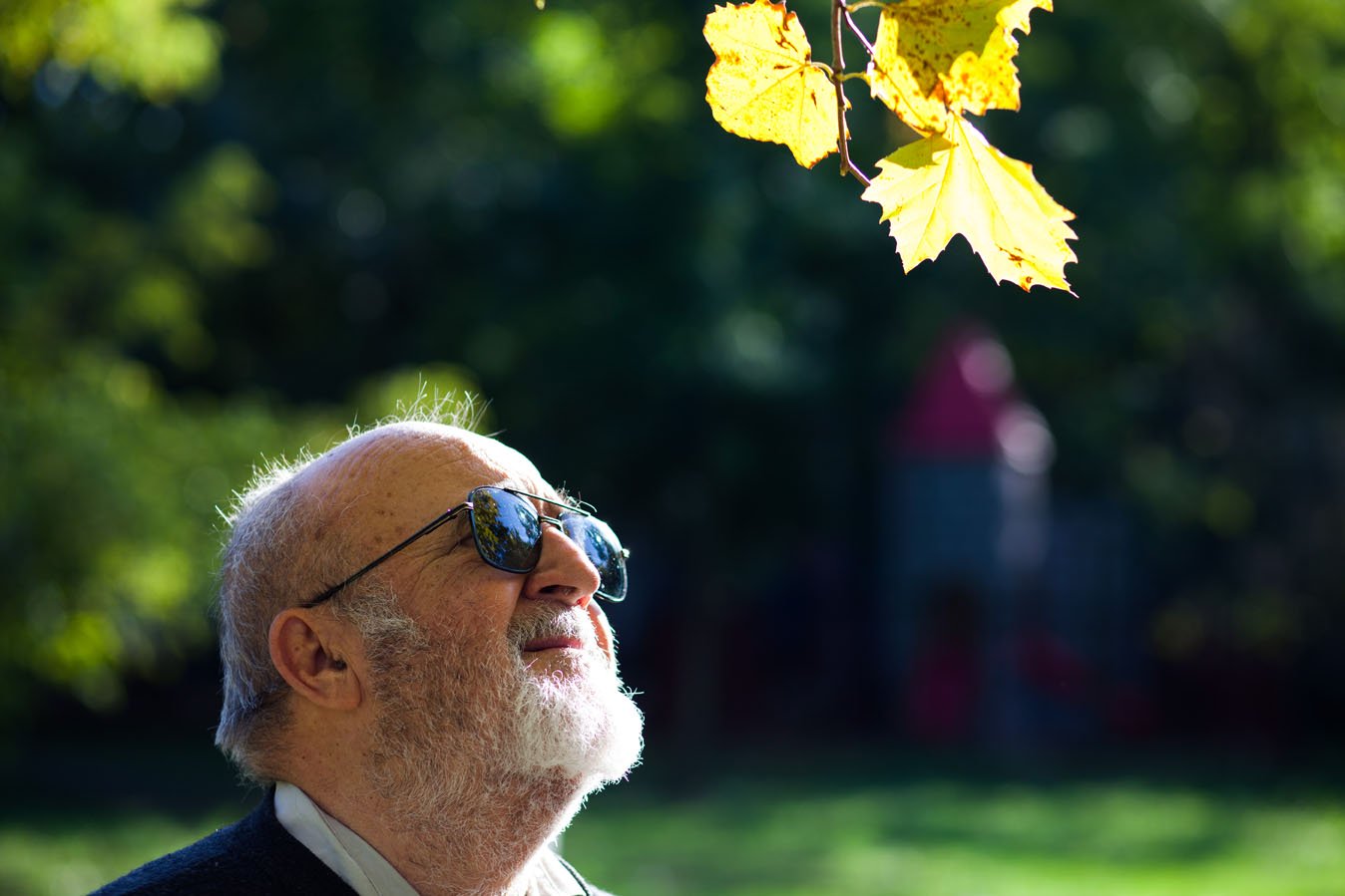 Une personne âgée en regardant les feuilles d'automne