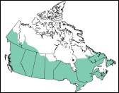 Carte de distribution