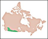 Distribution Map