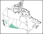 Distribution Map