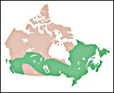 Distribution Map