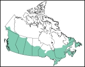 Distribution Map