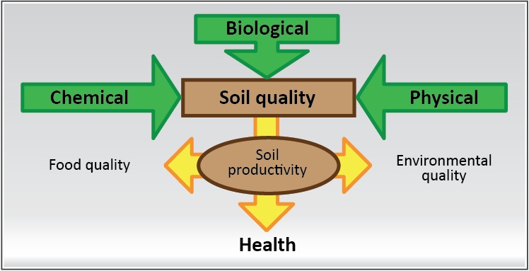 The effects of soil quality on soil productivity.