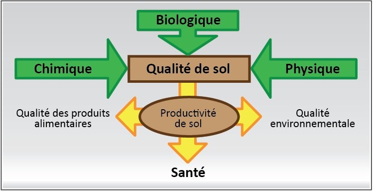 Biologique