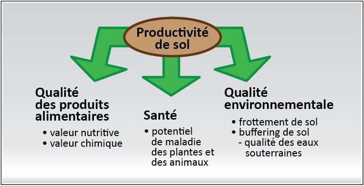 productivite de sol